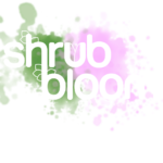 order shrub bloom calgary takeout